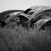 VW : Simcoe, ON