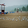 Number Two : Port Stanley, ON