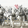 BRIGDEN FAIR