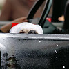 Santa's Helper II: This is hard work! Ajax, ON