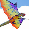 Dragon Canuck