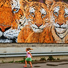 URBAN JUNGLE: Picton