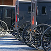 MENNONITE CONVEYANCE : Winter shielded horse buggies, parked for groceries at the local IGA Super Market. Elmira,ON