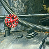 Red Turn: Engine 6069, Sarnia