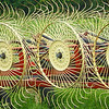 Stand Clear : This image was taken with a very tiny Pentax 7.1 MP pocket-rocket while out on a 100-mile country road-cycle run. I luv to collect these little gems and then throw them into my DSLR gallery and mix them in. (Point being, that you do not need to have a zillion dollars worth of gear to make an intersting image)