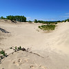 Big Sandy: Say hello,.... Janine,....... : Sandbanks Prov.Pk.