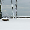 Park Bench