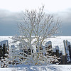 Winter Glare: A short distance from my home in South Ajax, on Lake Ontario, Canada