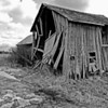 Tool Crib: Derelict old tool barn in the middle of the pump fields of Oil Springs, Ontario.