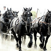 BRIGDEN FAIR : a salvaged severely overexposed shot using a little watercolour in PP.