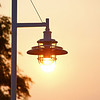 SUN LAMP : Pickering