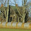 OLD FARM #2 : Sarnia