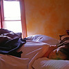 Janine Dawn: The Sail Inn, Lunenburg, Nova Scotia, Canada